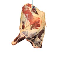 Clod Flat Muscle (Brachialis) Meat Cut Spec Step 1